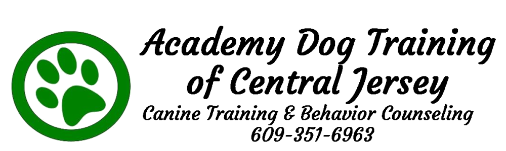 Academy Dog Training of Central Jersey
